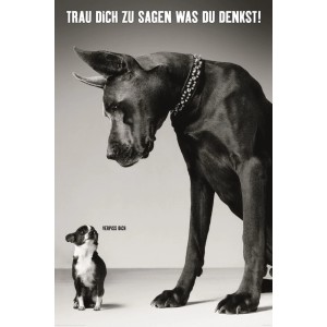 Maxiposter "Verpiss dich" (61x91,5cm) mit Doggen- und Chihuahua-Motiv in Schwarzweiß.