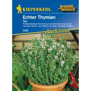 Kiepenkerl Thymian "Tim"