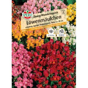 Sperli Löwenmäulchen Zwerg-Wunderteppich Saatgut mit Blüten in verschiedenen Farben.