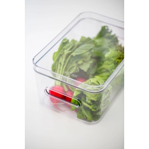 Transparente SmartStore Aufbewahrungsbox Compact Clear M mit Salat und Radieschen.