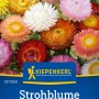 Kiepenkerl Stiefmütterchen Schweizer Riesen Mischung in verschiedenen Farben.
