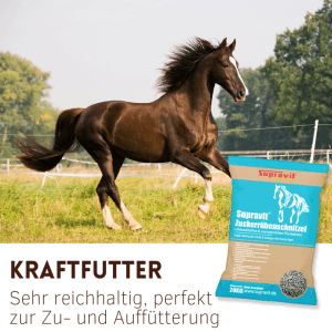Braunes Pferd galoppiert auf Wiese. Daneben 20 kg Sack Supravit Rübenschnitzel Pferdefutter, energiereich & schmackhaft.