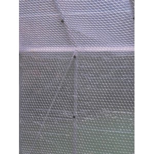 Detailaufnahme der transparenten Juliana Noppenfolie (10 m x 1,5 m) zur Gewächshaus-Isolierung.