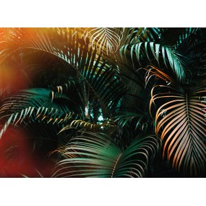Fototapete mit detailreichen, grünen, gelben und orangen Palmenblättern.