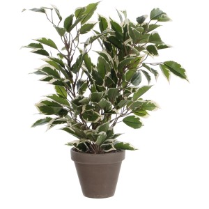Mica Decorations Kunstpflanze Ficus Natasja, grün-weiße Blätter im Topf, 40 cm hoch.