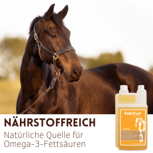 Braunes Pferd mit Zaumzeug, daneben Supravit Leinöl Liquid Flasche. Ergänzungsfuttermittel für Pferde, reich an Omega-3.
