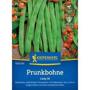 Kiepenkerl Prunkbohnen Lady Di: Samen für robuste, fadenlose Feuerbohnen mit roten Blüten.