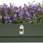 Elho Greenville Blumenkasten, 18,5x69cm, Laubgrün, mit lila blühenden Pflanzen.