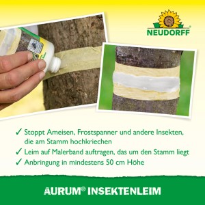 Anwendung von Neudorff Insekten Leim Aurum auf Baumstamm mit Klebeband. Schutz vor Schädlingen.