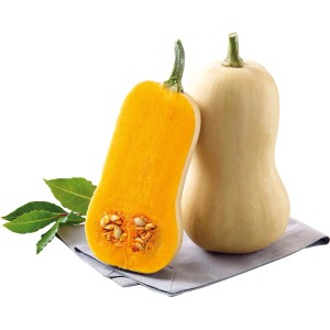Grow by OBI: Butternut-Kürbis, halbiert und ganz, auf Stofftuch. Fruchtgemüse mit orangem Fruchtfleisch.