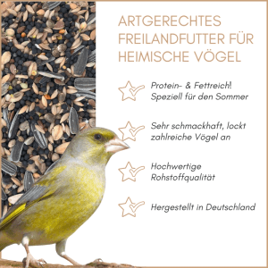 Grünfink auf Ast vor Supravit Wildvogelfutter. Proteinreiches Freilandfutter für heimische Vögel im Sommer.