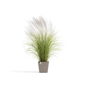 Ecopots Rotterdam Pflanztopf, braungrau, 35,2x34cm, mit Ziergras für Innen- und Außenbereiche.