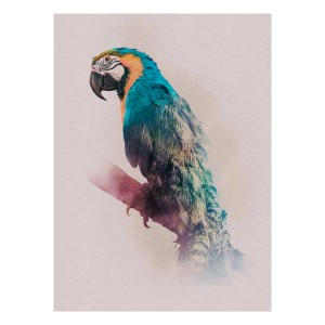 Wandbild Animals Paradise Parrot (30x40 cm): Papagei auf Ast, detailreich und farbenfroh.
