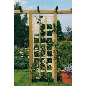 Rechteckiges Rankgitter, kesseldruckimprägniert, 60x180cm, mit Pflanzen bewachsen.