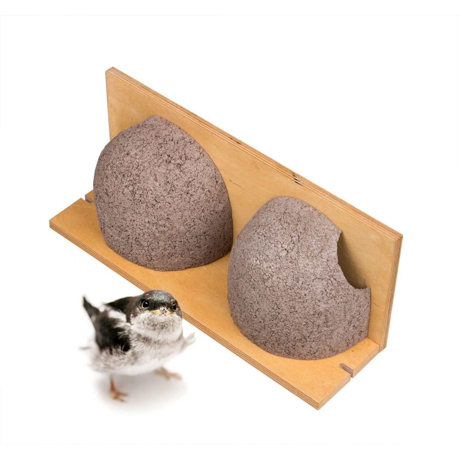 BigDean Schwalbennistkasten Doppelnest Schwalbennest Mehlschwalbennest Nistkasten Nisthilfe Schwalben Holzbeton_3