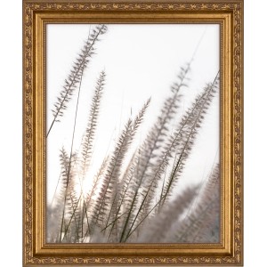 Goldener Barock Bilderrahmen aus Holz, 24x30 cm, für Fotos und Bilder.