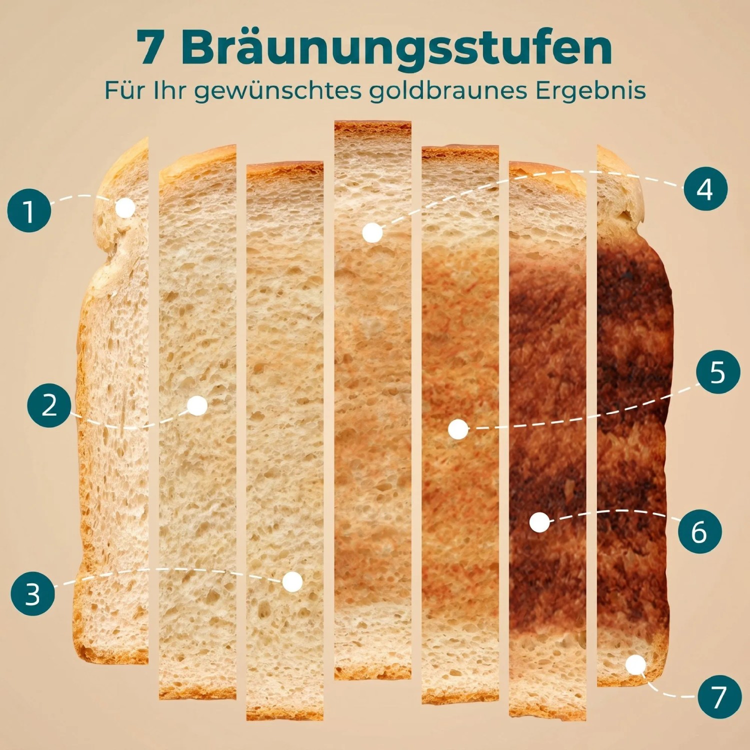 Sieben Toastscheiben zeigen die 7 Bräunungsstufen des Toasters, von hell bis dunkel goldbraun.