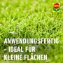 Anwendungsfertiger Compo Rasenunkraut-Vernichter Banvel Quattro AF für kleine Rasenflächen.