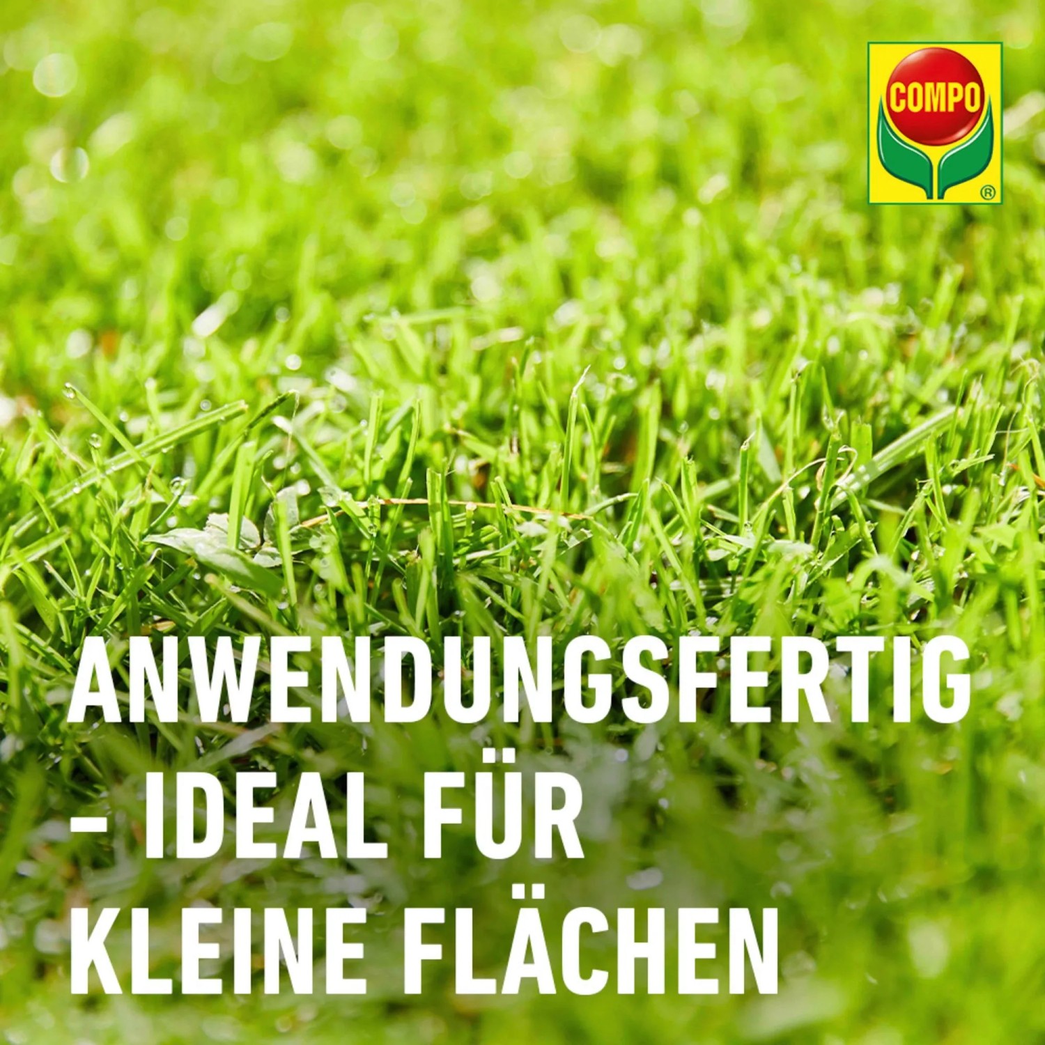 Anwendungsfertiger Compo Rasenunkraut-Vernichter Banvel Quattro AF für kleine Rasenflächen.