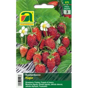 Austrosaat Monatserdbeeren Rügen Samenpackung mit reifen, roten Erdbeeren und Blüten.