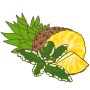 Blu Bio-Ananas-Minze: Topf mit Ananas, Minze. Küchenkräuter mit herb-zitronigem Aroma.