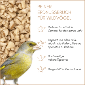 Supravit Erdnüsse Wildvogelfutter: Gehackte Erdnüsse mit Grünfink. Protein- & fettreich für Wildvögel.
