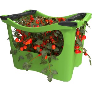 Grüne Windhager Pflanzbox mit roten Pflanzen. Kunststoff-Hochbeet für Garten, Balkon oder Terrasse.