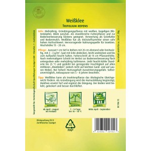Packung Quedlinburger Weißklee-Samen, mehrjährig, zur Gründüngung und als Futterpflanze.