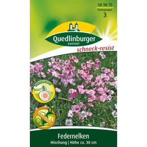 Packung Quedlinburger Federnelken Mischung, Blumensamen für duftende, rosa-weiße Blüten.