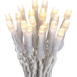 LED-Lichterkette mit 40 warmweißen LEDs und transparentem Kabel für Innen- und Außenbereich.