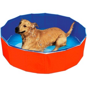 Hund im Outdoor-Hundepool (120 cm Durchmesser, 30 cm hoch) mit roter Außenwand und blauem Innenraum.