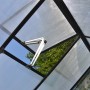 Detailaufnahme: Palram Canopia Gewächshaus Victory Orangerie mit geöffnetem Dachfenster.