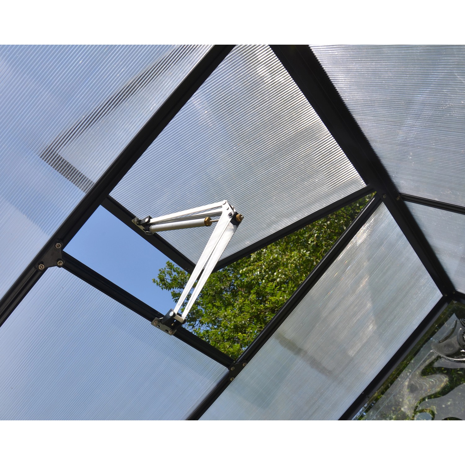 Detailaufnahme: Palram Canopia Gewächshaus Victory Orangerie mit geöffnetem Dachfenster.