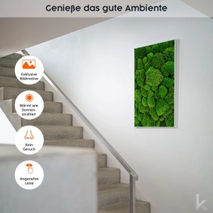 Könighaus Infrarotheizung Moos Ambient Edition 450 W Schwarz