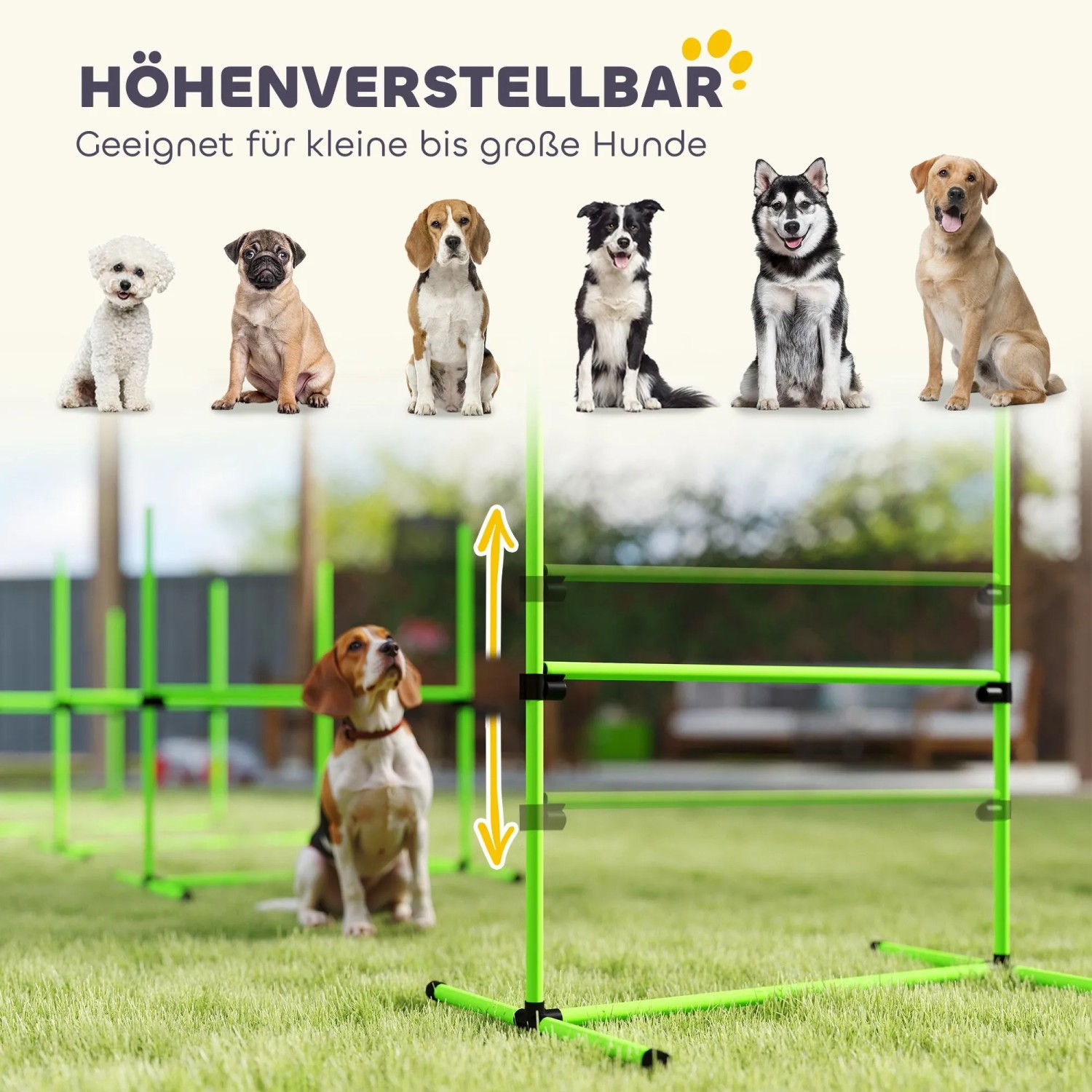 Grünes PawHut Agility Set für Hunde mit höhenverstellbaren Hürden und Slalomstangen. Für alle Hundegrößen.