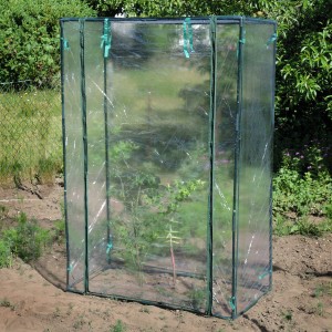 Floraworld Gewächshaus 5 m² mit Folie und grünem PVC-Rahmen im Garten.