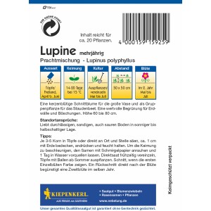 Kiepenkerl Lupine Prachtmischung Samenpackung, mehrjährige Blumensamen für farbenfrohe Blumenbeete.