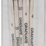 Daler-Rowney Pinselset mit 5 Synthetikpinseln in Verpackung, ideal für Multitechnik.