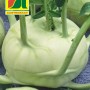 Austrosaat Kohlrabi Superschmelz Saatgut, Riesenkohlrabi für den Gemüseanbau.