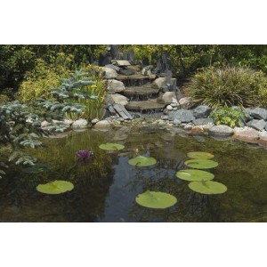 Teich mit Ubbink AquaFlexiLiner EPDM Folie, Seerosen und kleinem Wasserfall im Garten.