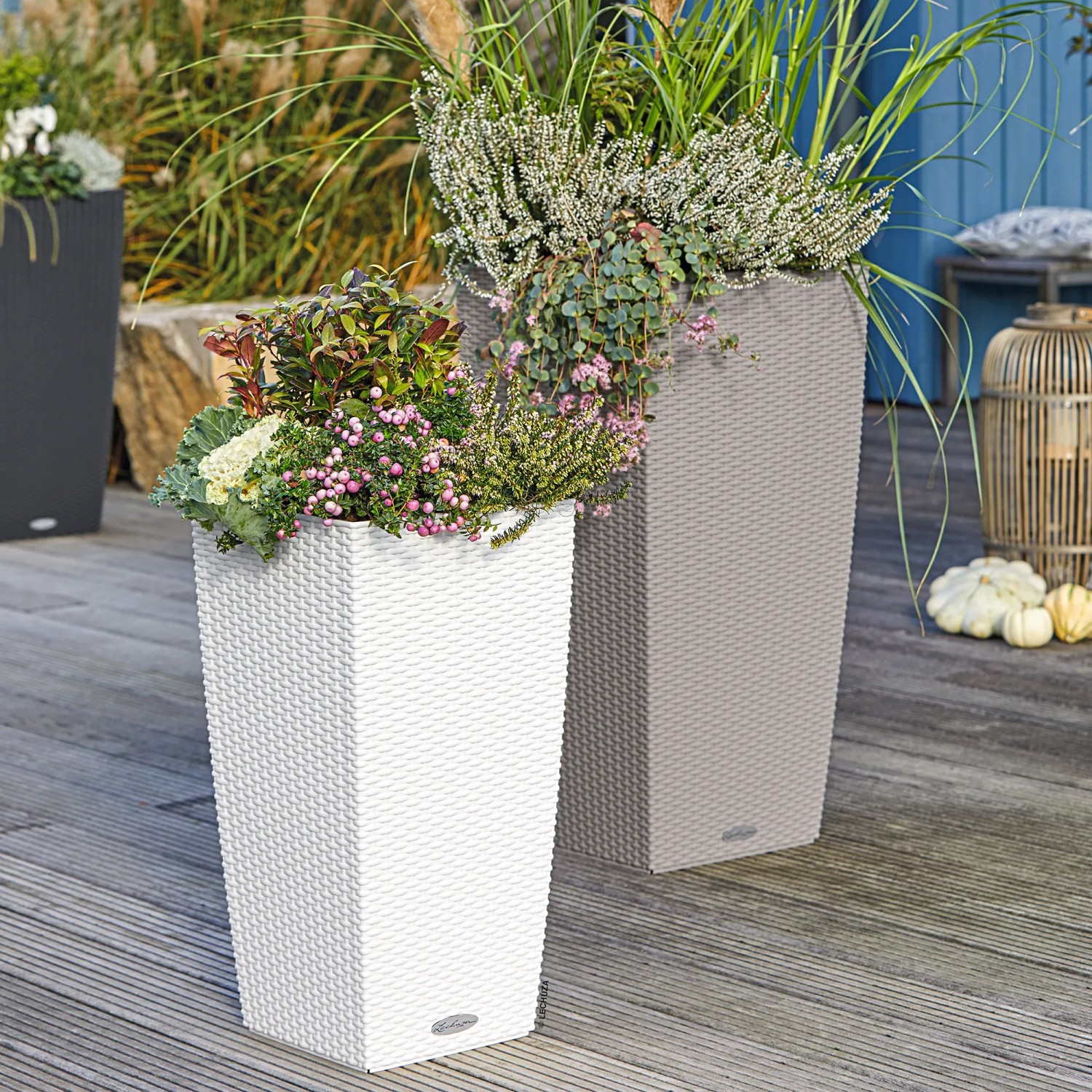 Lechuza Cubico Cottage Pflanzsäule, 40x40x75 cm, sandbraun und weiß, mit Bepflanzung.