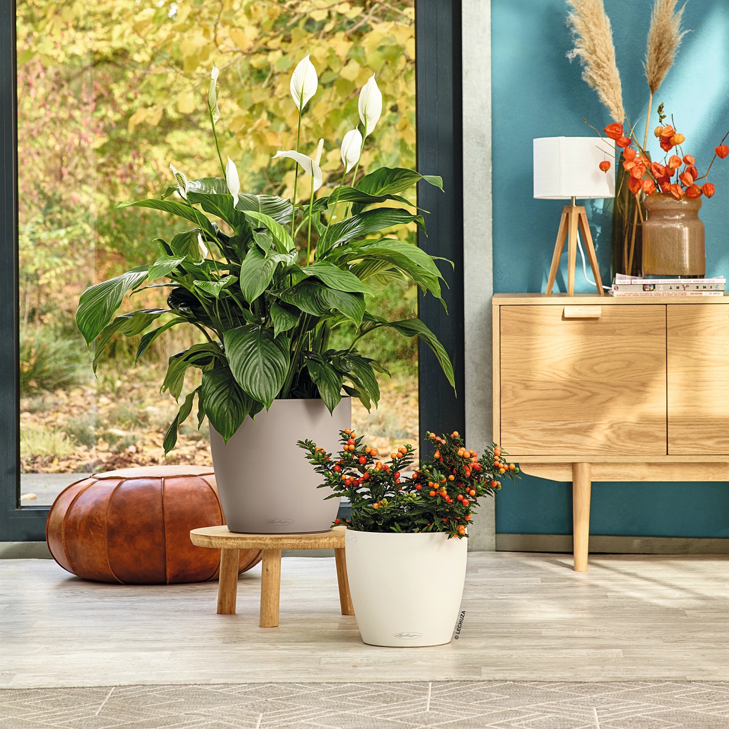 Lechuza Classico Color Pflanzgefäß, Ø 35 cm, sandbraun, mit Pflanzen im Wohnraum.