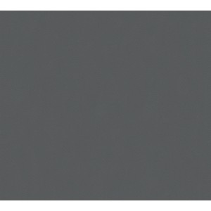 Dunkelgraue, glatte A.S. Creation Vliestapete Uni für die Wand.