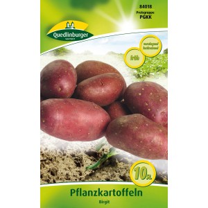 Quedlinburger Pflanzkartoffeln 'Birgit', rotschalige, vorwiegend festkochende Frühkartoffel.