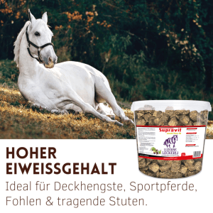 Weißes Pferd liegt im Gras. Daneben ein Eimer Supravit Luzerne Pferde Leckerli, proteinreich, aus Heu.