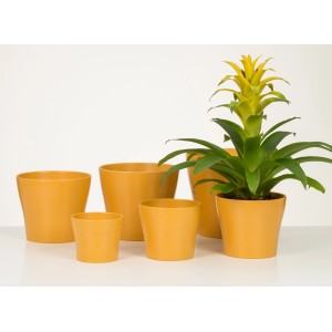 Scheurich Übertopf 808 in Curcuma, verschiedene Größen. Keramik Übertöpfe für den Innenbereich.