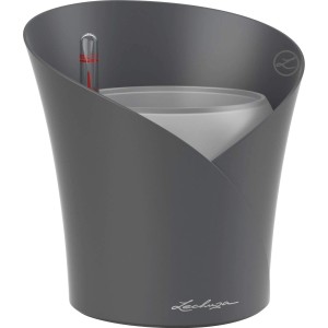 Lechuza® Pflanzgefäß Orchidea Color Ø 18 cm x 20 cm Grau matt