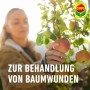 Frau behandelt Apfelbaum mit Lac Balsam Wundverschlussmittel von Compo.