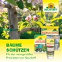Neudorff Produkte zur Schädlingsbekämpfung am Baum: Schädlingsschutznetz, Raupenleimring, Insektenleim.