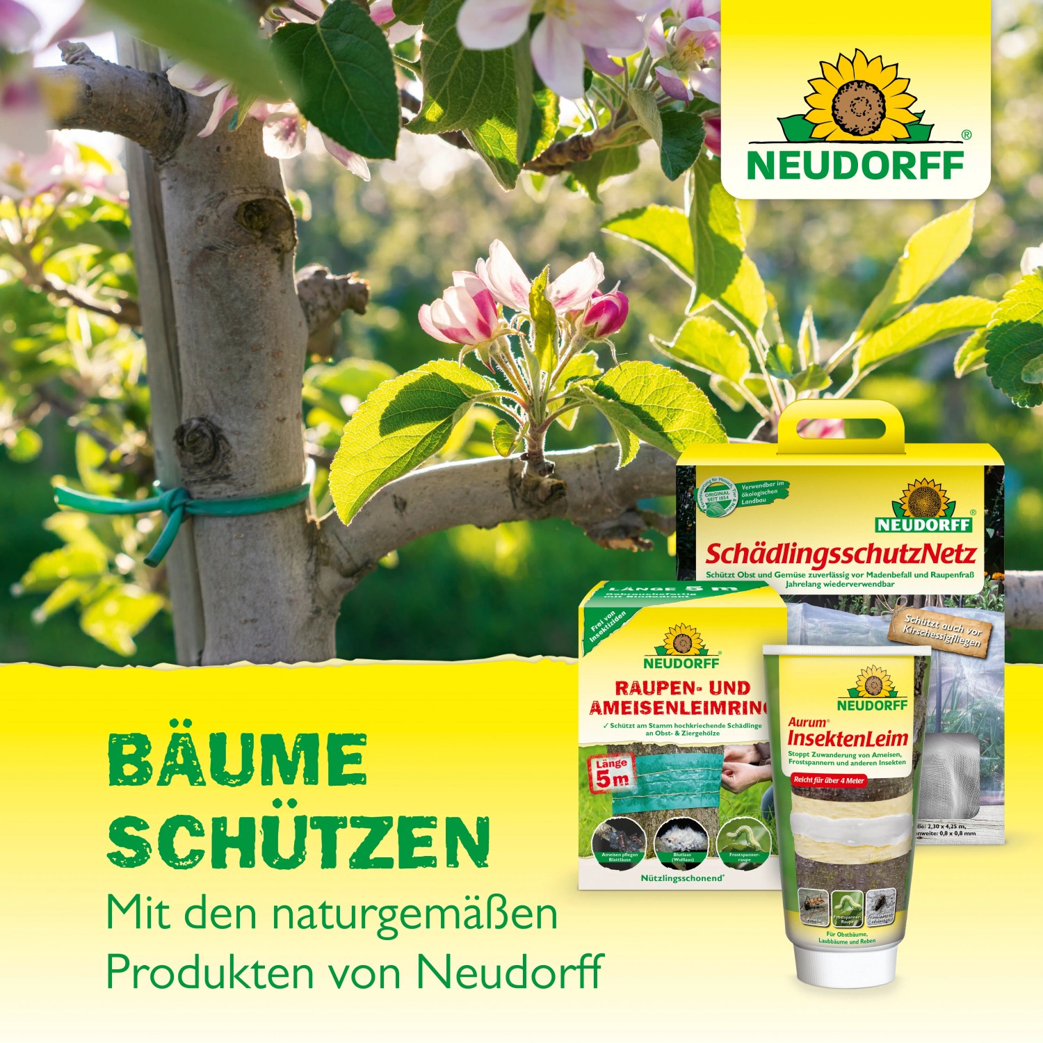 Neudorff Produkte zur Schädlingsbekämpfung am Baum: Schädlingsschutznetz, Raupenleimring, Insektenleim.